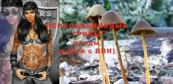 ешки Кукмор