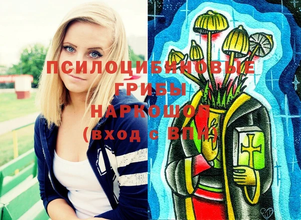 ешки Кукмор